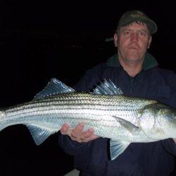 barnegat light fishing 66 20200411