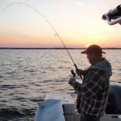 barnegat light fishing 68 20200411