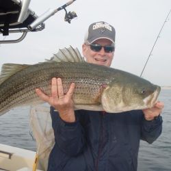 barnegat light fishing 78 20200411