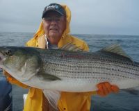 barnegat light fishing 82 20200411