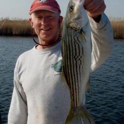 barnegat light fishing 87 20200411