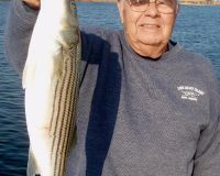 barnegat light fishing 89 20200411