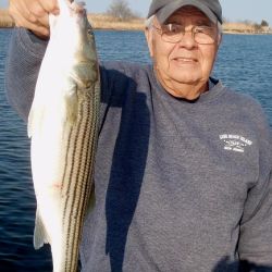 barnegat light fishing 89 20200411