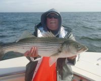 barnegat light fishing 9 20200411