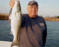 barnegat light fishing 94 20200411