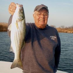 barnegat light fishing 94 20200411